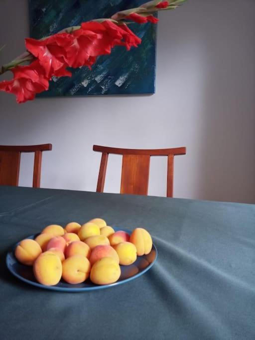 Hédé Villa La Cote Du Chat 3* En Bretagne Romantique מראה חיצוני תמונה
